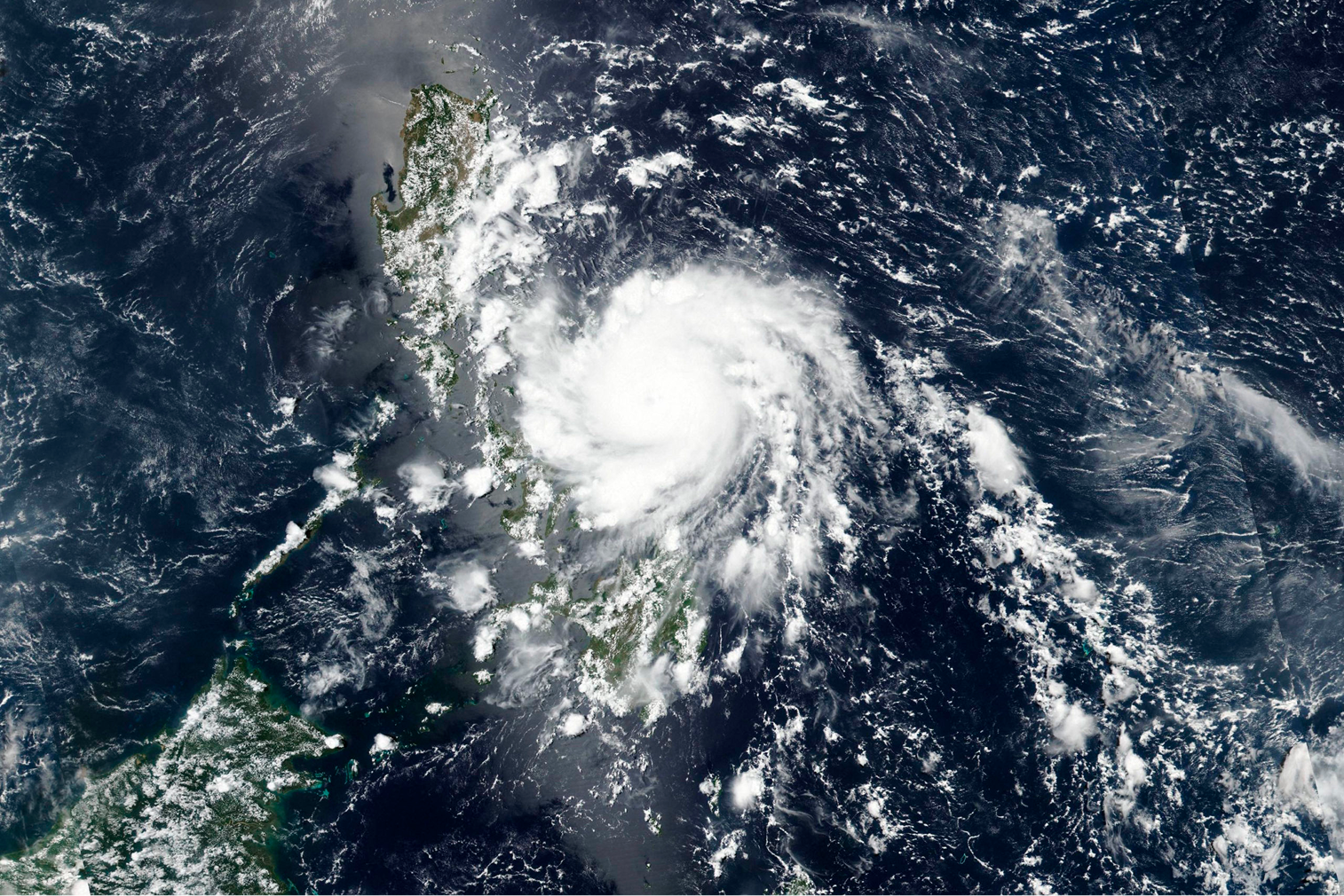 Typhoon Preparedness illustration